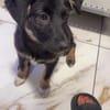 Patricia, schwarz ist bunt genug