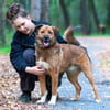 Stattlicher Begleiter mit viel Potenzial: Grisha