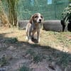 Kleine Entdeckerin- Darla