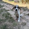 Kleine Entdeckerin- Darla