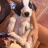 ARES (Martina)