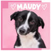 Maudy