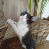 NOUNY