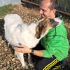 NICA - ganz viel Hund zum lieb haben