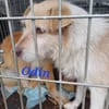 ODIN sucht seine Menschen