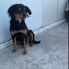 Lotti
