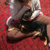 Die liebe Candy sucht ihr Zuhause