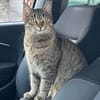 Jacky wartet auf ihr Stück vom Glück