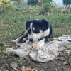 Mia, total verspielt