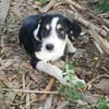 Mia, total verspielt