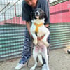 Sensibler Gustav sucht ruhiges Zuhause!