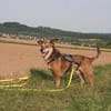 Max - kleiner Mann mit großem Charakter!