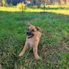 Honey, jung und fröhlich