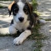 James, jung und noch zu haben
