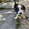 James, jung und noch zu haben