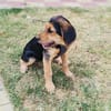 Maya ein liebes Mädchen