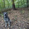 Ronja sucht liebe Menschen mit Zeit