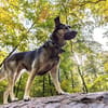 Ronja sucht liebe Menschen mit Zeit