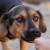Wundervolle♥Aylini♥wartet 90530 Wendelstein auf ihre Familie