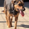 Wundervolle♥Aylini♥wartet 90530 Wendelstein auf ihre Familie