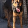 Wundervolle♥Aylini♥wartet 90530 Wendelstein auf ihre Familie