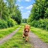 Klein Anni Rennsemmel sucht ländliches 🏡
