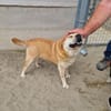 Herta und Sissy