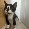 Bingo