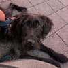 Sunny sucht ihre Familie