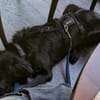 Sunny sucht ihre Familie