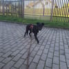 Andrei sucht seine Familie ♥