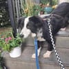 Alvie ,kleine Zuckerschnute