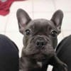 Chiquita will das Leben kennenlernen