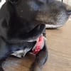 Blacky  - sooo liebevoll