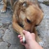 Benji darf nie wieder enttäuscht werden