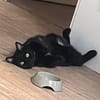 Thriller