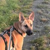 Liebenswerte Pamela sucht aktive Menschen