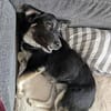 Jax  ausgeglichen, nah am Menschen, anfängertauglich