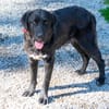 Crumble- Riesenbaby sucht dich