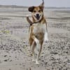 Polly sucht ihren sicheren Hafen