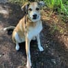 Polly sucht ihren sicheren Hafen