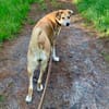 Polly sucht ihren sicheren Hafen