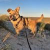 Sintra freut sich auf dich!