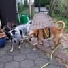 BALA -Menschenbezogen & zauberhaft-