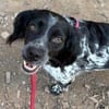 Holly sucht Geborgenheit in ihrer eigenen Familie