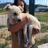 Cooper sucht sein Für-immer-Zuhause (C)