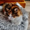 MIMI