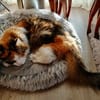 MIMI