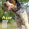 Azor