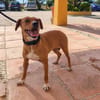PILI (Maria)